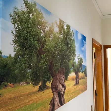 Bed and Breakfast L'arcobaleno