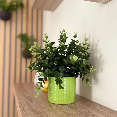 L'arcobaleno Sammichele Di Bari