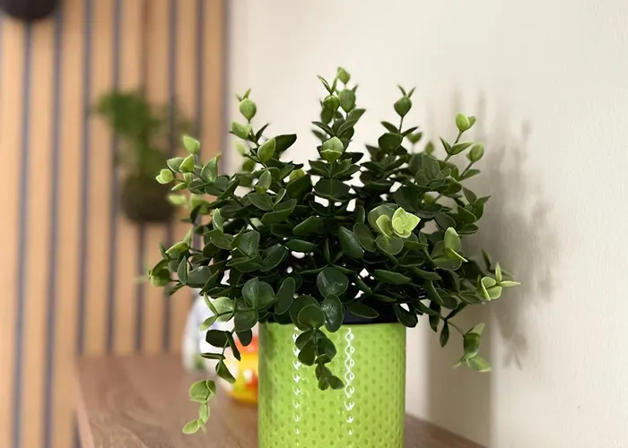 L'arcobaleno Sammichele Di Bari